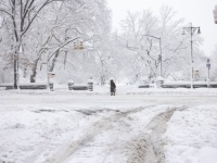 ZATRPALA IH NEZAMPAĆENA MEĆAVA: Palo 76,2 cm snijega, promet paraliziran (VIDEO)