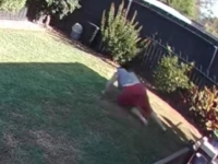 JEZIVA SNIMKA IZ DVORIŠTA: Zmija otrovnica izjurila iz rupe i omotala se ženi oko noge (VIDEO)