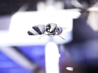 ZBOG NESTANKA OPRAŠIVAČA: Naučnici razvijaju robote-pčele