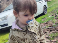 PO NALOGU APELACIONOG SUDA: Ponovo podignuta optužnica za ubistvo Danke Ilić