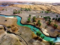 MASOVNA SADNJA DRVEĆA: Pustinja pretvorena u upijača ugljen-dioksida