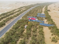 ZAHVALJUJUĆI POŠUMLJAVANJU: Pustinju pretvorili u zelenu oazu...