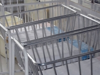 BIJELA KUGA PRIJETI: Broj rođene djece u ovom kantonu u posljednjih dvadeset godina smanjen za više od polovine...