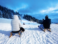 POLICIJA TRAGA ZA POČINIOCIMA: Dvije osobe sankama pokosile planinarku i nanijeli joj teške povrede pa pobjegli