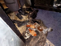 MONSTRUOZAN ČIN: Izraelski doseljenici pokušali spaliti džamiju