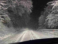 SNJEŽNI HAOS U SLOVENIJI: Ne prestaje padati, 36.000 ljudi bez struje (FOTO, VIDEO)