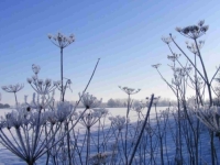 OD MINUSA DO PLUSA: Evo kakvo nas vrijeme očekuje tokom dana...