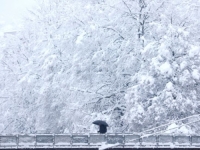 NA DANAŠNJI DAN SARAJEVO JE PREKRIO NAJVEĆI SNIJEG: Ljudi spavali u gradskom prevozu, snimci su nevjerovatni (VIDEO)