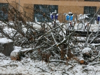 NAKON SNJEŽNOG HAOSA GRAĐANI POLAKO DOBIVAJU ELEKTRIČNU ENERGIJU, ALI: Izdato upozorenje na opasnost od napuklih stabala