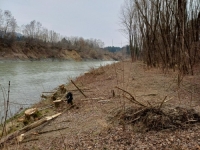 GRAĐANSKI BUNT ZAUSTAVIO RADOVE: Teška mehanizacija ostavila pustoš u zaštićenom području, posječena sva stabla