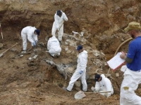 TOMAŠICA ČEKA 13 GODINA: Zašto još nema optužnica za najveću masovnu grobnicu u Evropi? (VIDEO)