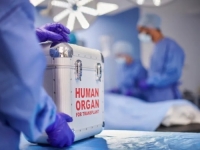 DRAMA U ITALIJI: Pokrenute tri istrage zbog neuspele transplantacije srca dvogodišnjaku