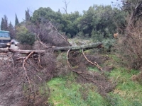 STIŽU ZASTRAŠUJUĆE SLIKE: Jak vjetar rušio sve pred sobom