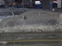 LEDI KRV U ŽILAMA: Učiteljica postala zvijezda TikToka jer joj je auto pretvoren u santu leda (VIDEO)