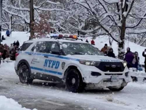 SAMO NEMOJ PO GLAVI DRUŽE PLAVI: Uhapsili mladića u New Yorku zbog grudvanja policajaca