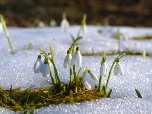 PREMA NARODNOM VJEROVANJU: Prvo džemre 'udara' u zrak za dva dana, a onda...
