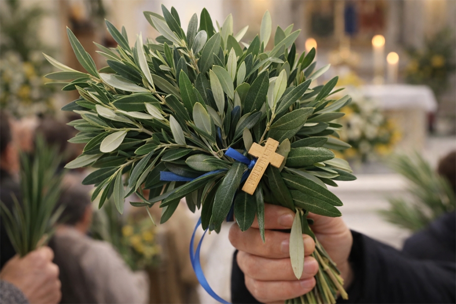 POSEBAN ZNAČAJ IMAJU MASLINOVE I PALMINE GRANČICE: Znate li što danas obilježavaju katolici u Bosni i Hercegovini...