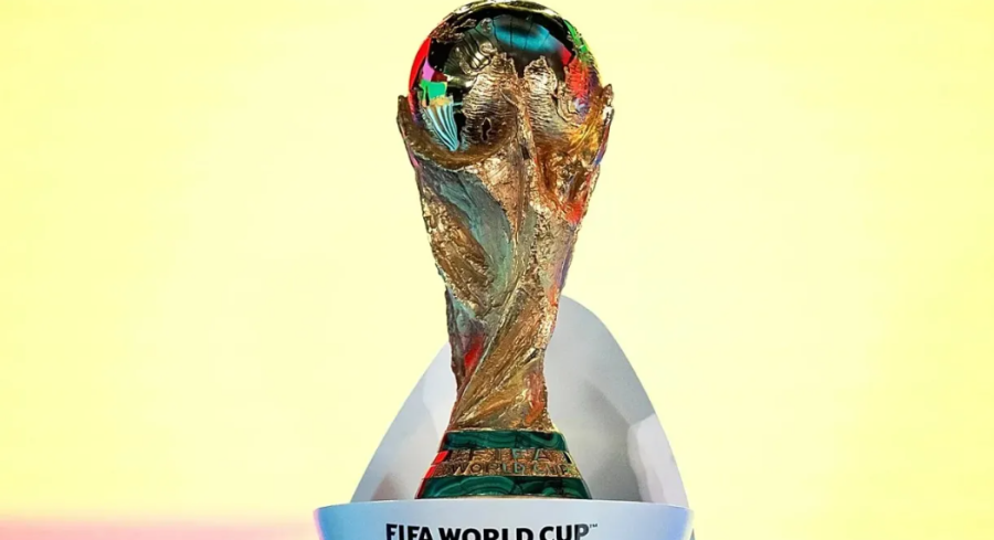 LUDILO KOJE NE POZNAJE GRANICE: Prodao kuću da bi gledao reprezentaciju