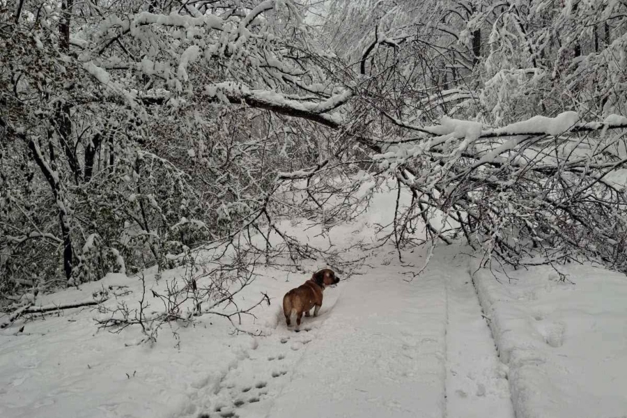 ZIMSKA NEPOGODA ZAHVATILA ISTOK BiH: Bez struje i vode ostala naselja u blizini Tuzle i Zvornika (FOTO)