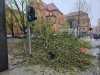 NEVRIJEME U HRVATSKOJ: Vjetar srušio stablo u centru Zagreba (FOTO)