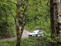 STRAVA U HRVATSKOJ: U šumi pronađena dva tijela, otkriven mogući uzrok smrti