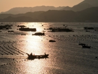 NEVIĐENA TAKTIKA: Satelitske snimke uhvatile misteriozni fenomen, na moru kraj Šangaja formiran 'Kineski zid'!