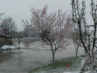 DRAMATIČNO STANJE U PRIJEDORU: Pod vodom 400 kuća, proglašen prvi stepen pripravnosti od poplava