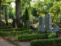 'OTIŠAO SAM NA SAHRANU SVOG PRIJATELJA, A U KOVČEGU JE BILA MOJA MAJKA': 'Nezamislivo...'