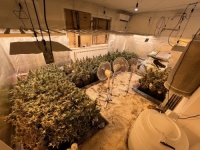 SARAJEVSKA POLICIJA U AKCIJI: Pronađene dvije laboratorije za uzgoj marihuane, uhapšena jedna žena