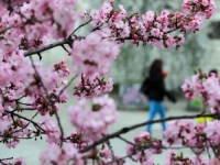 BH. METEOROLOZI OBJAVILI PROGNOZU DO 24. MARTA: Dolazi nam promjena vremena