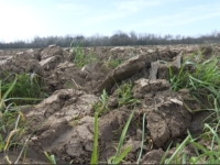 NAJTEŽA SEZONA PRED NJIMA: Poljoprivrednici Semberije ogorčeni, gdje su zalihe? (VIDEO)