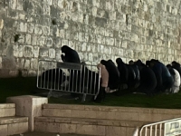 SVE SE POKLOPILO SA ZATVARANJEM DŽAMIJE AL-AKSA: Muslimani u Jeruzalemu klanjali teraviju večeras, a onda...