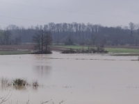 DRAMA U SJEVEROISTOČNOJ BOSNI: Modrac na rubu da se izlije, Spreča poplavila 80 hektara — evo šta se čeka u narednim satima... (FOTO)