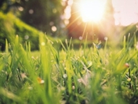 STIGLA SEZONSKA PROGNOZA ZA BiH: Kakvo nas vrijeme očekuje ovog proljeća