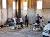 KOMEMORATIVNI CENTAR: U Tuzli identifikovane tri žrtve proteklog rata iz Vlasenice i Kamenice