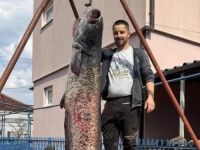 'OVO NIKADA DO SAD NISAM VIDIO!': Ribar u BiH ulovio 'čudovište' od 2,5 metra (FOTO)