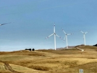 POBUNA U BH. SUSJEDSTVU: Građani tvrde da im vlada oduzima parcele u korist arapskog investitora