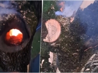 PROCURIO SNIMAK: Dramatično u centru Banje Luke, udar groma u parku...