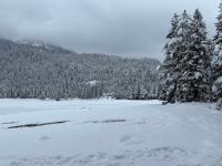 ZABIJELILO U BH. SUSJEDSTVU: Palo više od 20 centimetara snijega