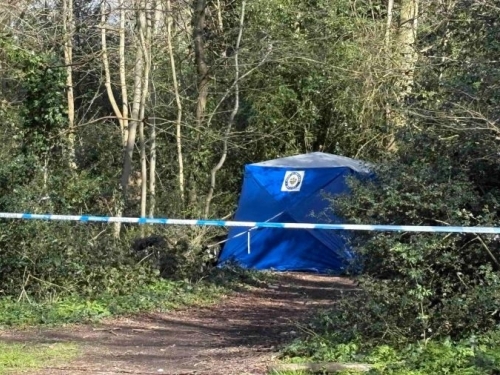 STRAVIČAN PRIZOR: Pronađeno tijelo muškarca u kanti za smeće