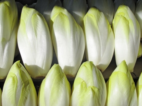 NEKADA SU JE JELI SVAKODNEVNO: Zovu je zlatom za jetru. S razlogom