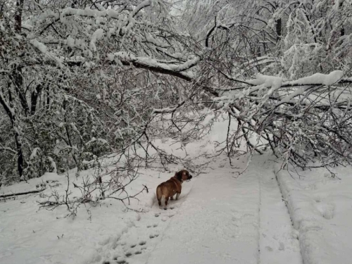 ZIMSKA NEPOGODA ZAHVATILA ISTOK BiH: Bez struje i vode ostala naselja u blizini Tuzle i Zvornika (FOTO)