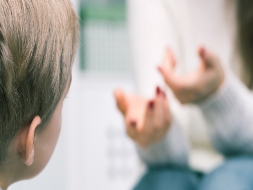 HIT NA INTERNETU: Mali Ivica iz Zagreba upitao mamu što je to Hercegovina, a onda – urnebes...