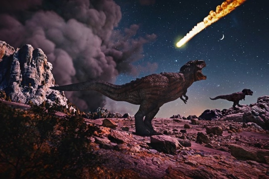 NEKI SU SE STVARNO ZAČUDILI: Zašto milioni ljudi na internetu oplakuju sudbinu dinosaura nakon 65 miliona godina... (VIDEO)