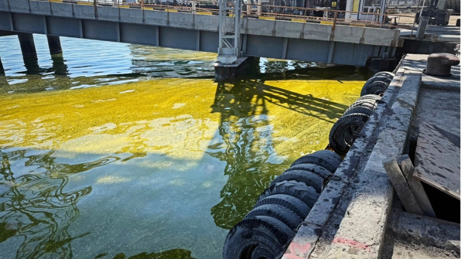 HITNE SLUŽBE POSTAVILE ZAŠTITNE BRANE: Ruski napad izazvao izlijevanje 6.000 tona suncokretovog ulja u Crno more (FOTO)