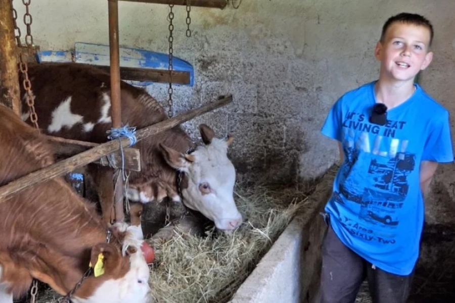 FENOMEN IZ BiH: Jedanaestogodišnji Asim odbacio telefon i pokrenuo farmu — njegova poruka vršnjacima ostavlja bez teksta