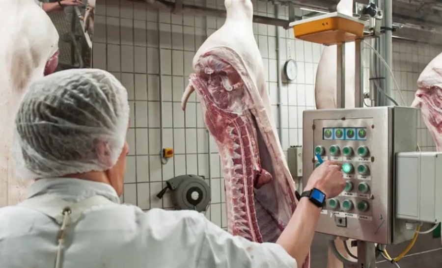 EVROPSKI SAN KAO ZAMKA: Kako mesna industrija ove evropske zemlje iskorištava strane radnike