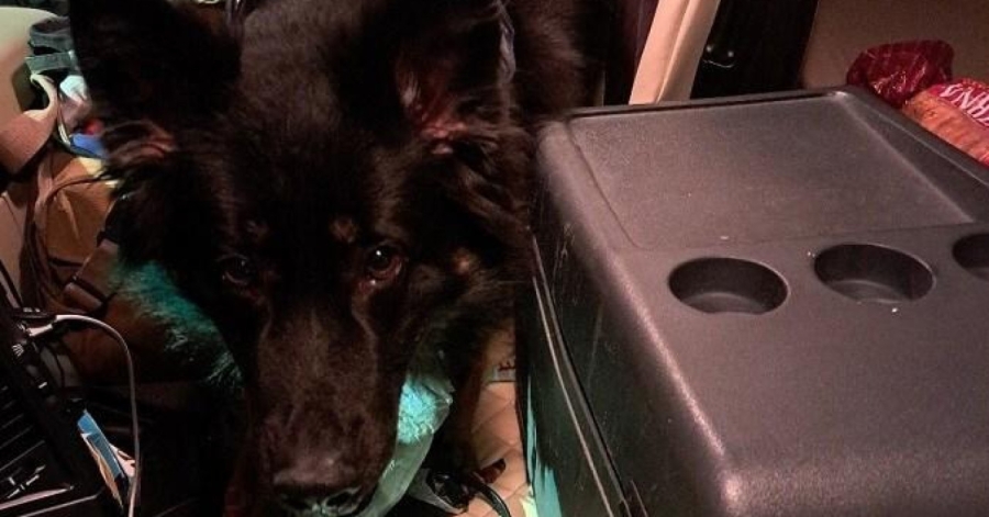 DRŽAVLJANIN SRBIJE STIGAO NA GRANICU S HRVATSKOM: Mislio je da ga neće uhvatiti, a onda su uočili plastični hladnjak