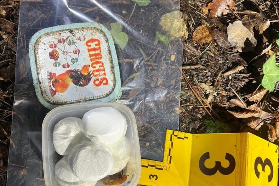 TOKOM LEGITIMISANJA ODBACIO VREĆICU SA SADRŽAJEM: Policija u bh. gradu zaplijenila veću količinu droge, uhapšena jedna osoba