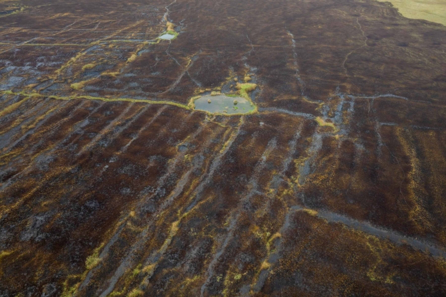 BISER PRIRODE PRETVOREN U PRAH I PEPEO: Ovako danas izgleda dolina Neretve, neprepoznatljiva je (FOTO)